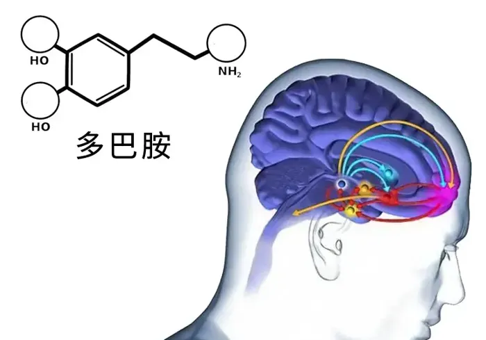 从150磅到100磅：她的惊人减肥秘诀，所有想要瘦身人士都该学习